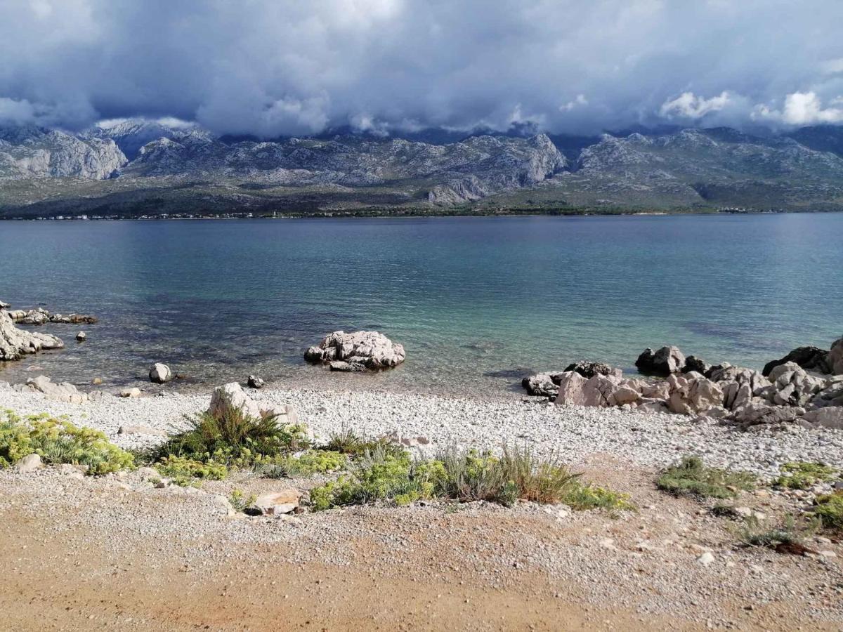 In Vinjerac/paklenica Riviera 27673 Apartmán *